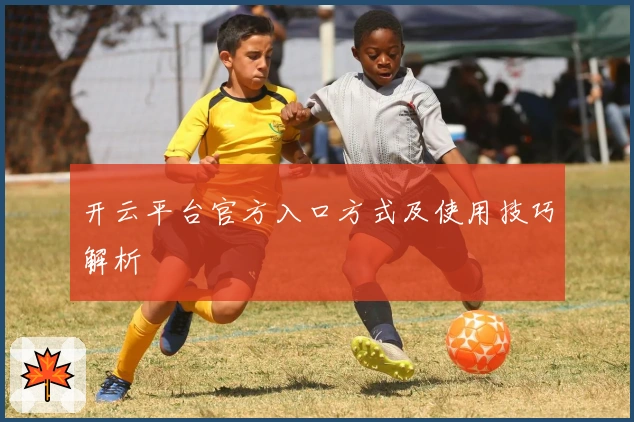 开云平台官方入口方式及使用技巧解析